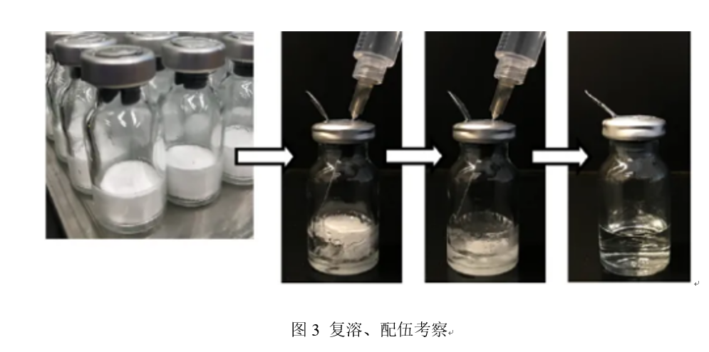 药物制剂稳固性履历总结